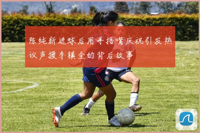 陈纯新进球后用手捂嘴庆祝引发热议声援李镇全的背后故事